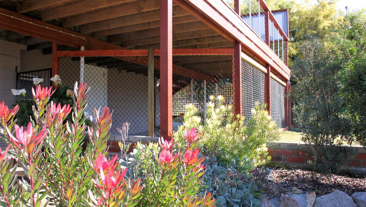 Bay Of Fires Seachange Ocean Frontage Binalong Bay Exterior photo