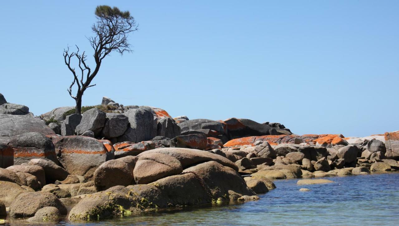 Bay Of Fires Seachange Ocean Frontage Binalong Bay Exterior photo
