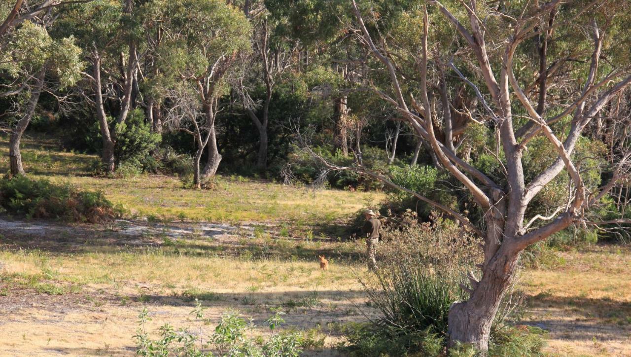 Bay Of Fires Seachange Ocean Frontage Binalong Bay Exterior photo