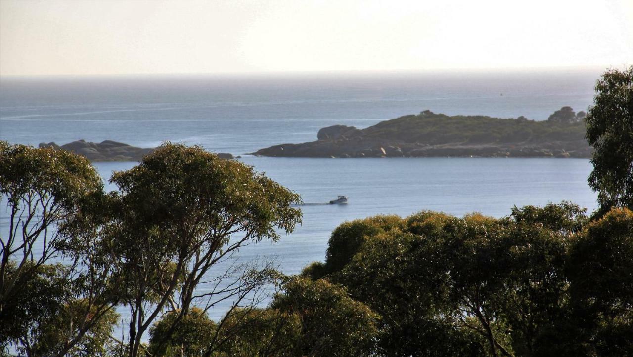 Bay Of Fires Seachange Ocean Frontage Binalong Bay Exterior photo